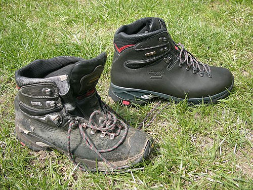 These Boots are Great for Plantin… (Zamberlan Vioz GT’s) – Tree-Planter
